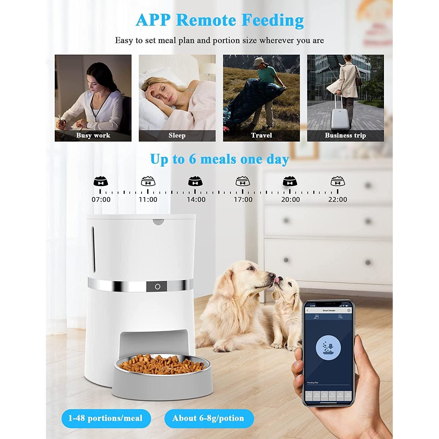Automatic Cat Feeder 2.0 - Paws and Pats