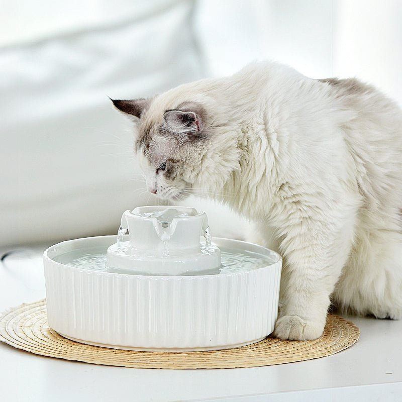 YES4PETS Porcelain Electric Pet Water Fountain Dog Cat Ceramic Water Feeder Bowl Dispenser